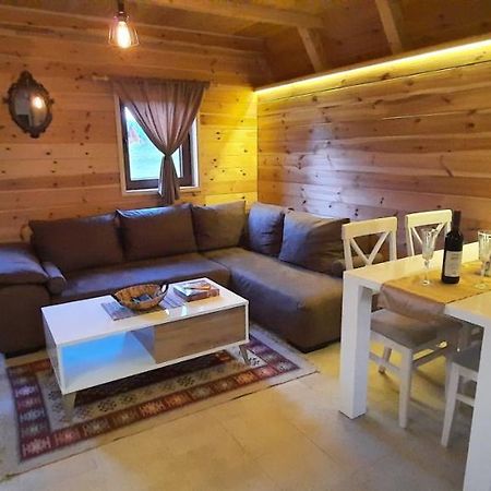 Mountain House Bjanka Villa Zabljak  Luaran gambar