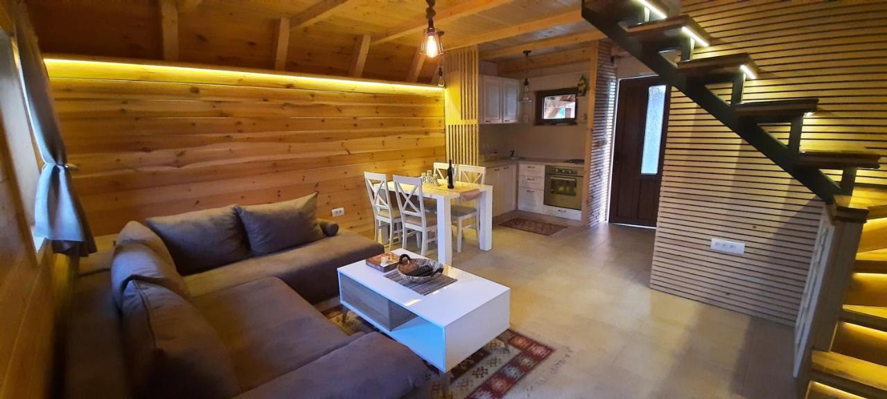 Mountain House Bjanka Villa Zabljak  Luaran gambar